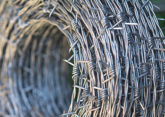 Tahan karat 500 meter single strand Hot Dip Galvanized Barbed Wire