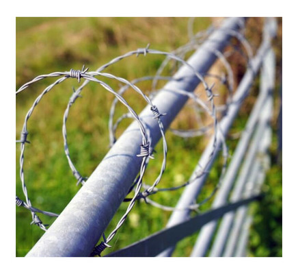 Tradisional Galvanized Barbed Wire Coil 400M 500M 50Kg Per Roll Baja 5mm Diameter untuk Pagar dan Perlindungan
