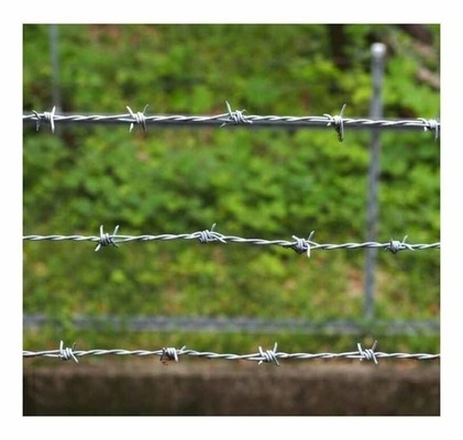 Sekolah kandang khusus Barbed Wire Mesh Harga Murah Keamanan Barbed Wire