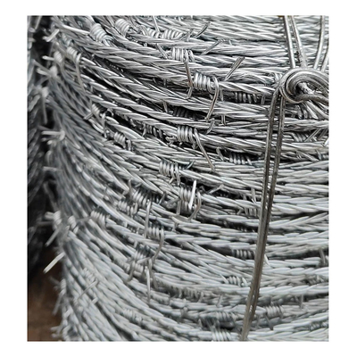 Kualitas Tinggi Pasar Amerika Selatan Galvanized Double Twisted Barbed Wire Pagar 500 Meter