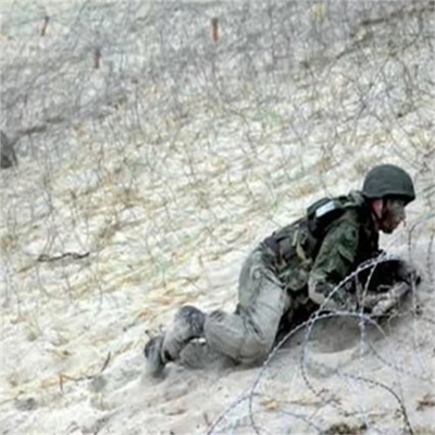 High Security Galvanized Steel Anti Climb Razor Wire Fence