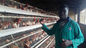 4 Tingkatan Lapisan Telur Kandang Ayam Baja Otomatis Galvanis yang Dicelup Panas