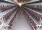 Sistem Otomatis Q235 4 Tingkatan Lapisan Kandang Ayam Untuk Peternakan