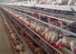 Otomatis 4 Tingkatan 128 Kandang Ayam Unggas