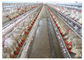 Peternakan Unggas Q235 Kandang Ayam Broiler Dengan Sertifikat CE