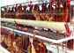 Jenis Sistem Otomatis 128 Kandang Ayam Unggas Peralatan Peternakan Lapisan Telur
