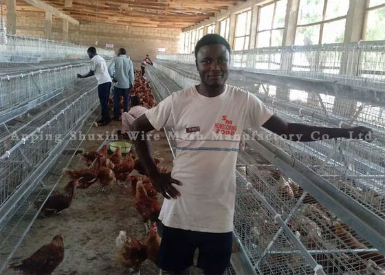 kawat berduri galvanis kawat berduri galvanis harga 250m per gulungan belanda jaring logam pengaman kandang kawat berduri tbar alat peregangan untuk kawat berduri Ce Sertifikat