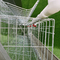 96 Burung Lapisan Kawat Galvanis Kandang Baja Ayam Otomatis Di Peternakan Unggas