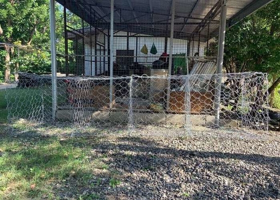 4x1x1m 3.05mm Wire Gabion Basket Untuk Bendungan Dan Pembangunan Yayasan Dengan Struktur Logam Silinder
