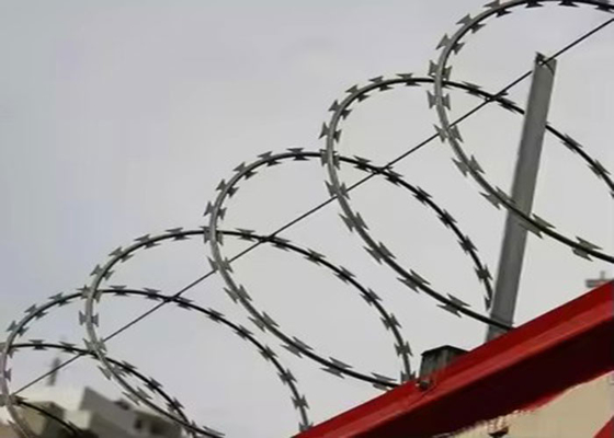 Penghalang Penerapan Keamanan Kawat Berduri Pisau Cukur Concertina yang Sangat Baik