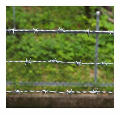 KN Jual Panas Anggar Barbed Wire Elektro Galvanized Barbed Wire