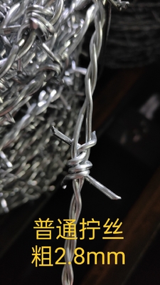 Produsen Kualitas Tinggi Pasar Amerika Selatan Galvanized Double Twisted Barbed Wire