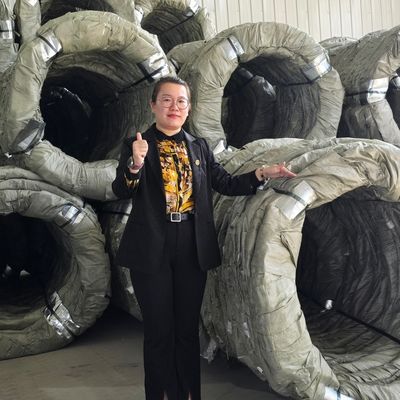 Egoza Concertina Wire Fencing Razor Barbed Sharp Protection Untuk Situs Kritis