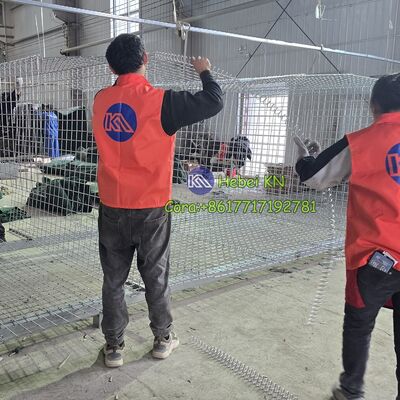 KN Hot Dip Galvanized Welded Gabion Box Dengan Harga Hambatan Hesco yang Kompetitif