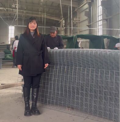 SX10 Sand Filled HESCO Penghalang Pertahanan Dengan Geotekstil Militer Penghalang Gabion harga penghalang HESCO