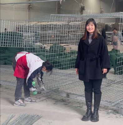 Mil 1 Tentara Pertahanan Penghalang Perlindungan Tembok Galvanis Ditutup Dengan Geotekstil